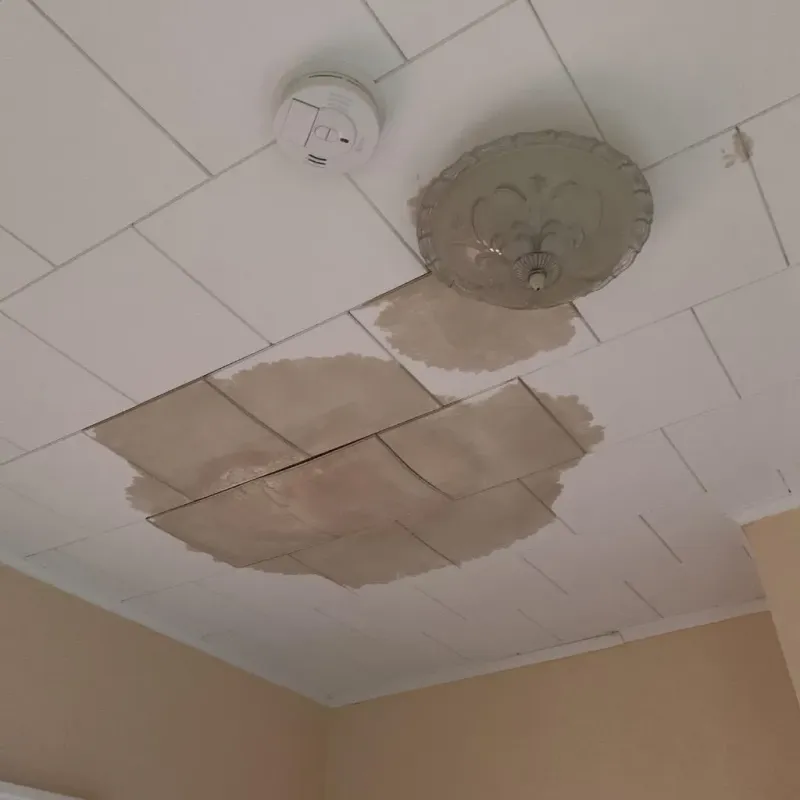Ceiling Water Damage Repair in Custer County, NE