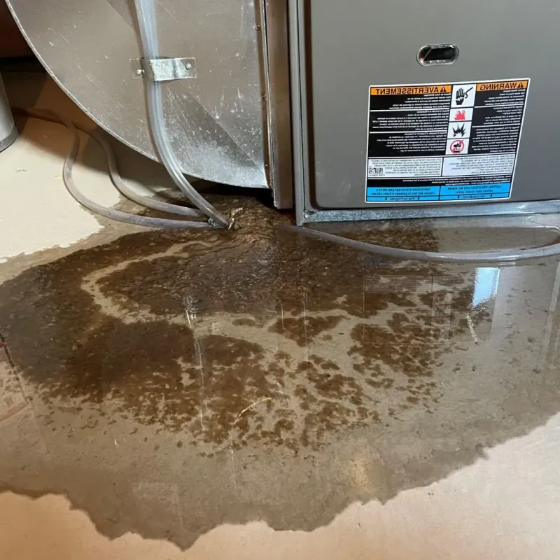 Pipe Burst and Leak Restoration in Custer County, NE