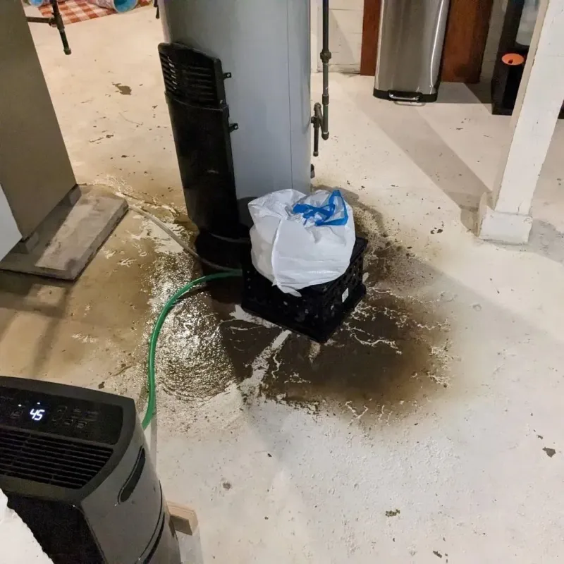 Sewage Backup Cleanup Service in Custer County, NE